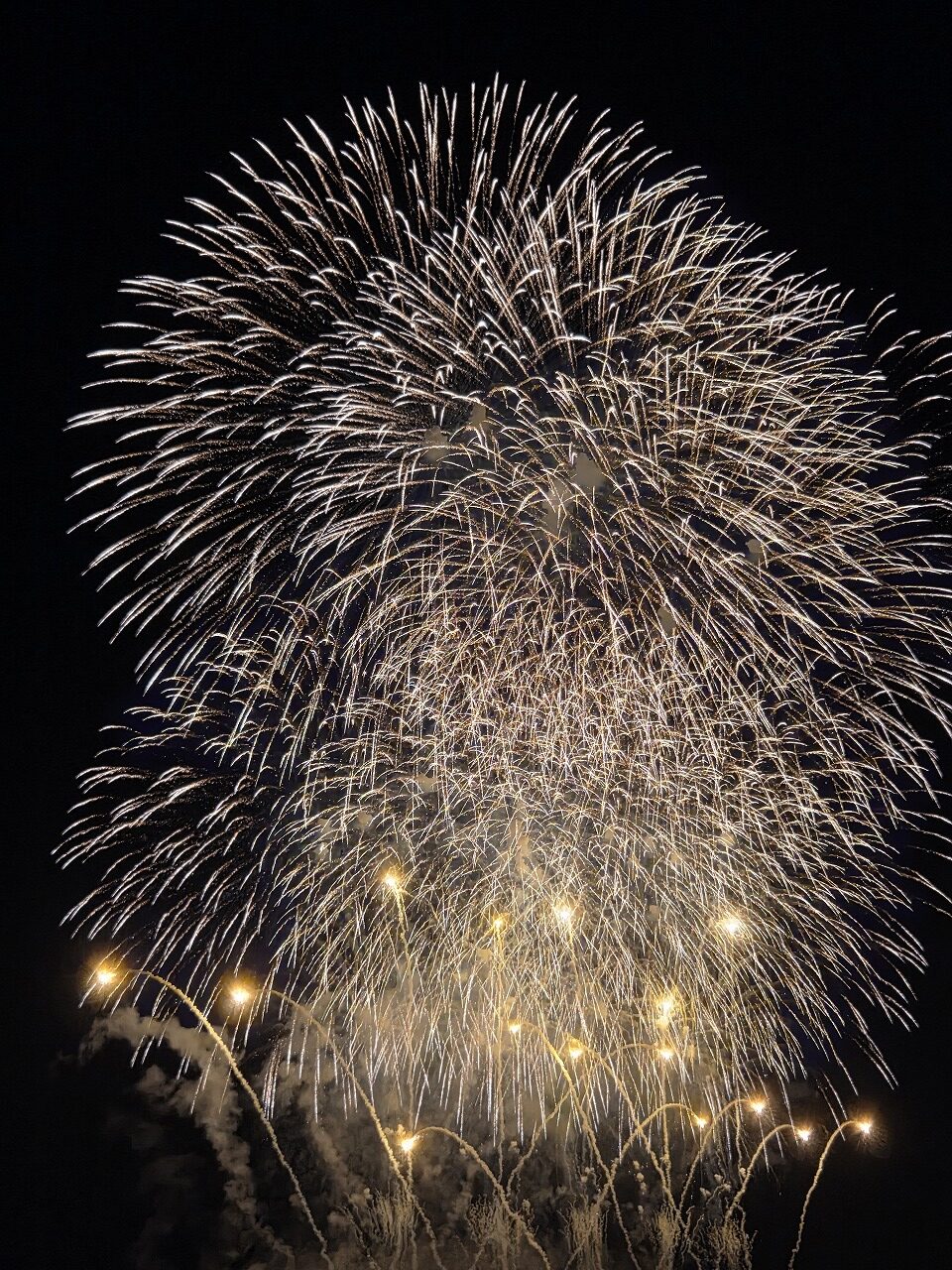 うちの庭のこと