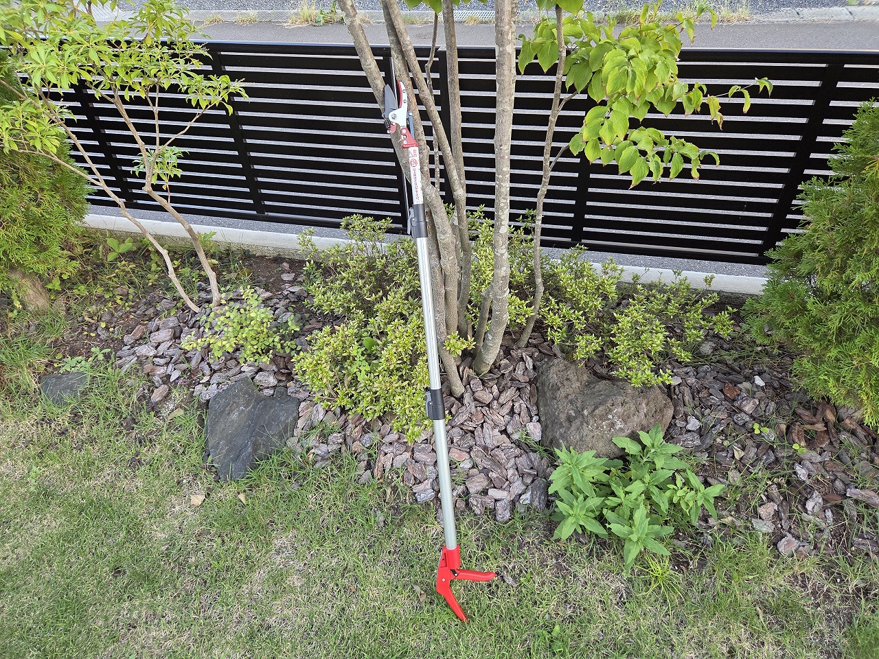 うちの庭のこと