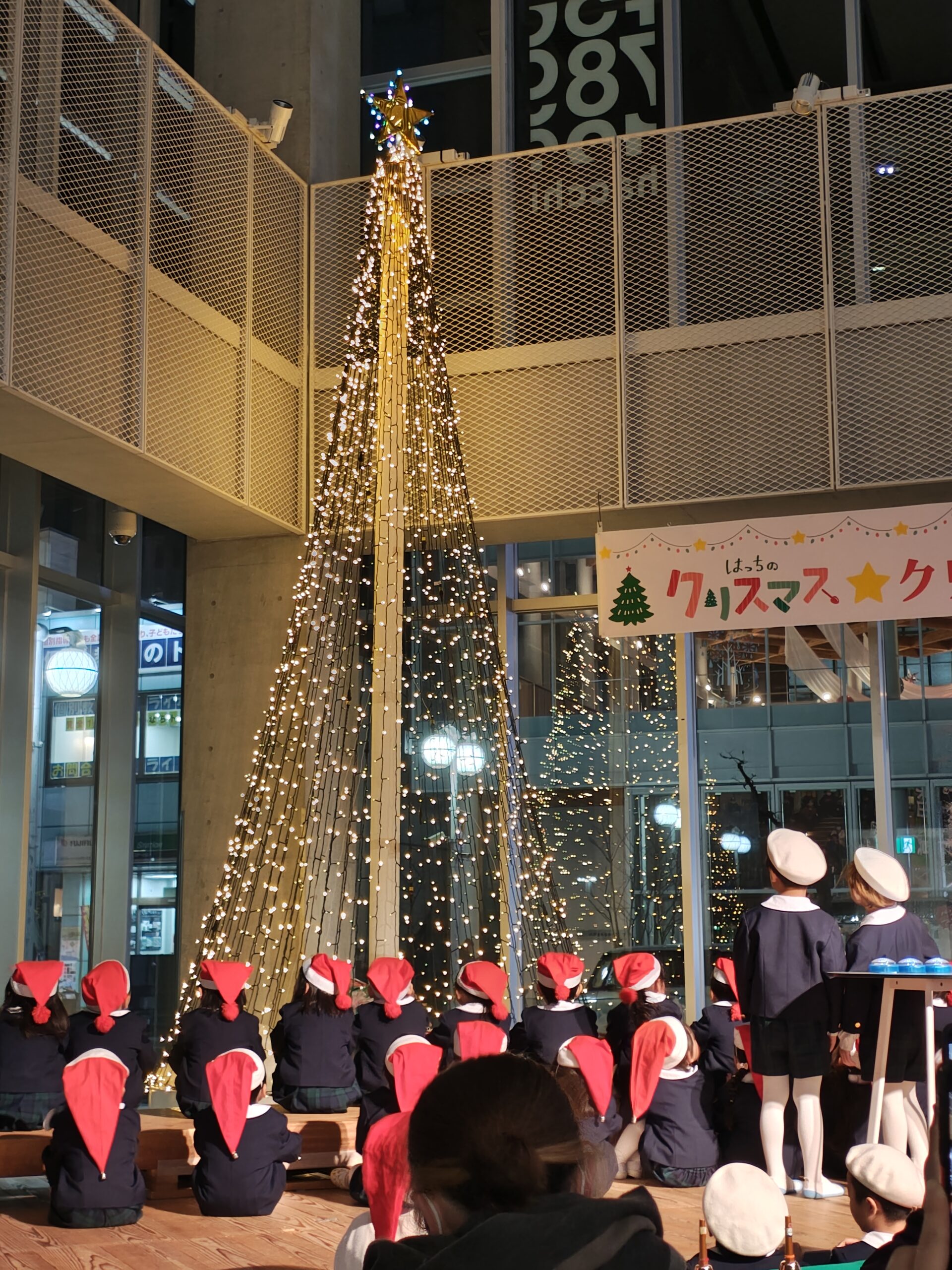 はっちのクリスマスツリー