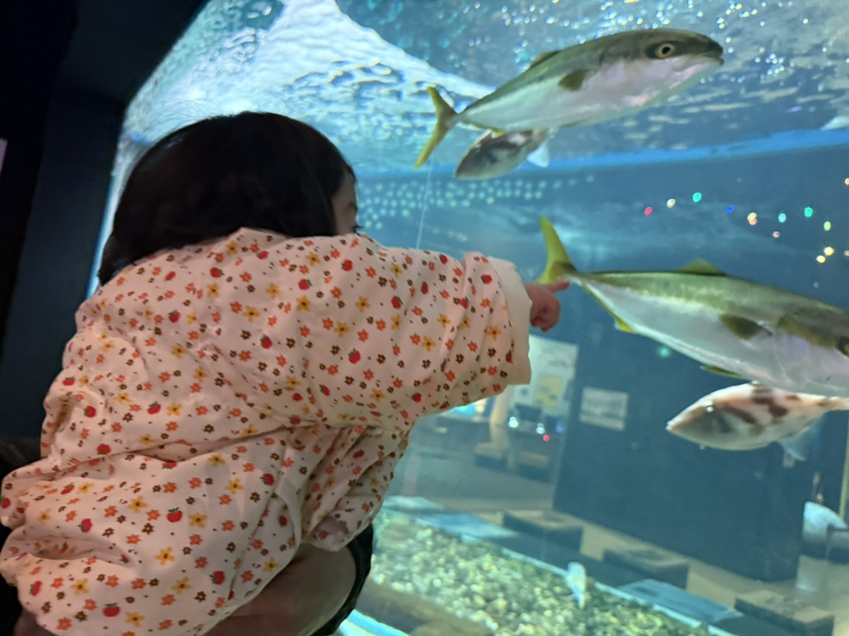 マリエントに行った話